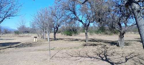 Venta Dos Casas Amoblada Pileta 1 Hectarea En Nono
