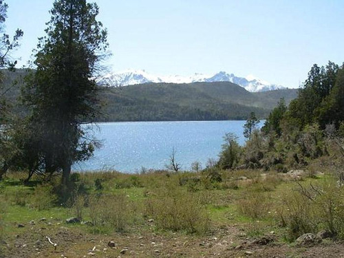 Inmobiliaria Comodoro - Campo - Cholila
