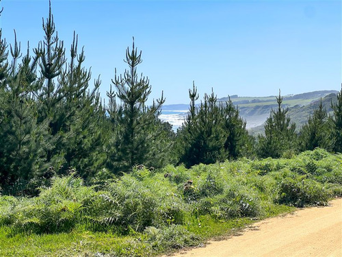Sitio En Venta En Loteo Alto Boyeruca, Boyeruca