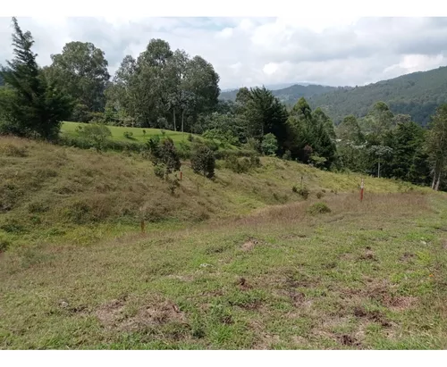 Lote En Venta Sector Llanogrande- Parcelación Vía Don Diego