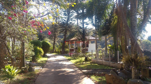 Sitio - St00008 - 34785268
