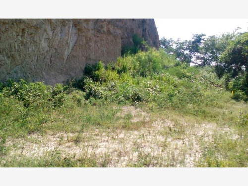 Imagen 7 de 12 de Terreno Comercial En Renta Tuxpan De Rodriguez Cano Centro