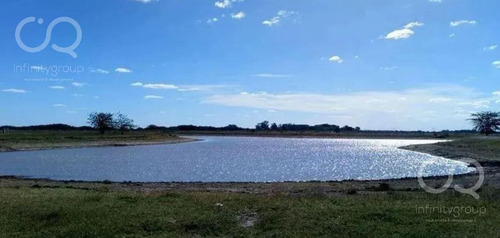Imagen 1 de 4 de Terreno - Santa Clara Al Sur