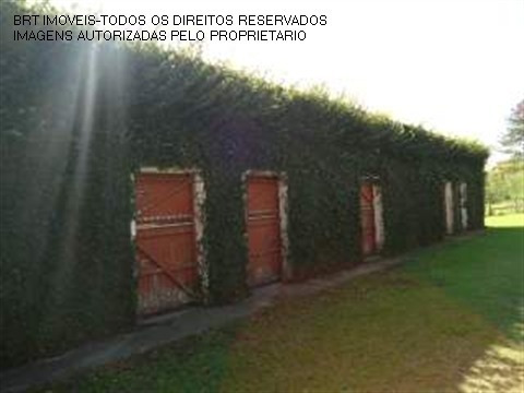 Imagem 26 de 30 de Area - Ar00005 - 1981948
