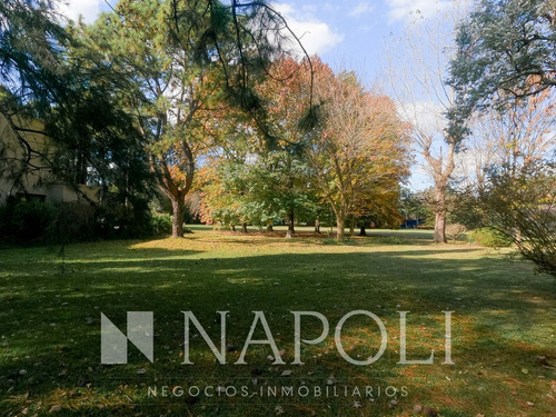 Imagen 2 de 10 de Venta De Lote En Excelente Ubicación, Saint Thomas Norte