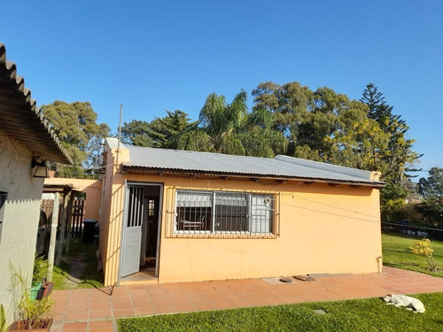 Imagen 12 de 20 de 1125 Venta Casa Con Patio,cochera,barbacoa Lagomar