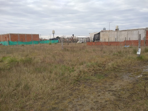 Imagen 3 de 3 de Venta De Terreno En Domselaar Sobre Ruta 210