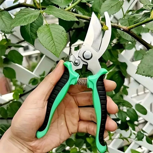 Tijeras Hortícolas Con Forma De Pico De Pájaro