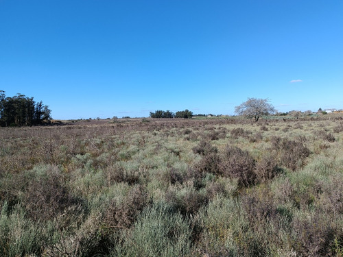 Vendo Muy Lindo Campo Con 2 Tajamares Para Riego, Alambrado, Pozos, Cañada, Monte, Financio Consulte