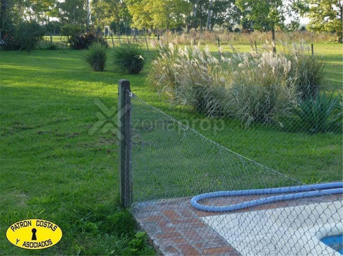 Imagen 7 de 17 de 1384hp- Chacra Pileta Galpón Casa Huéspedes Rp 192 - Torres