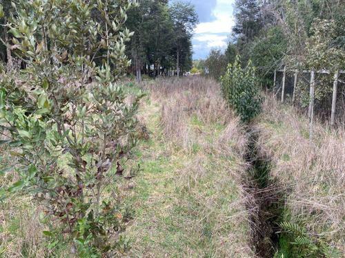 Preciosa Parcela En Venta Coigües Del Sur - Puerto Varas