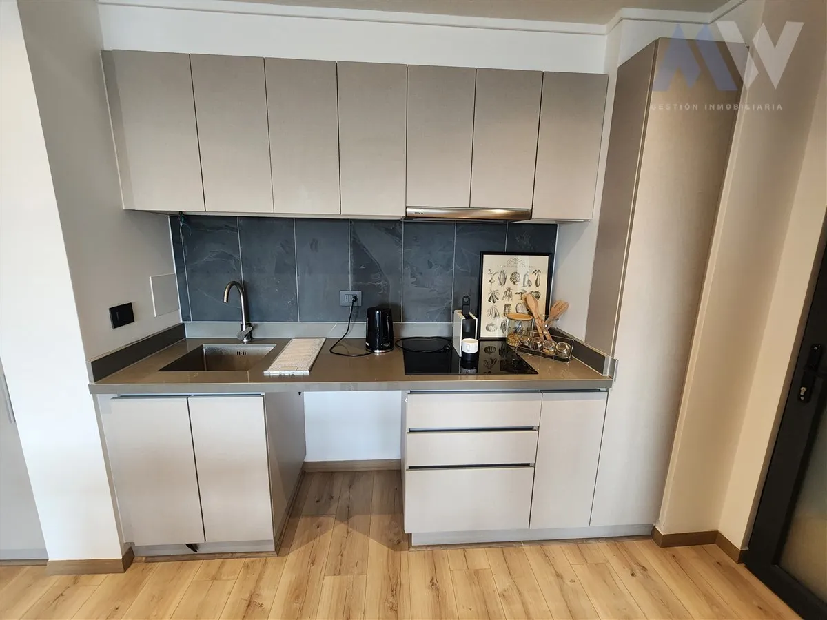 Imagen 5 de 29 de Departamento En Venta 2 D 2 B + Azotea Providencia