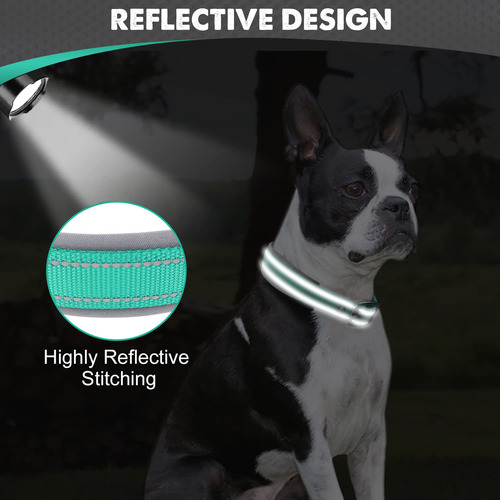 Collar Joytale Acolchado De Neopreno Para Perros Medianos, 1