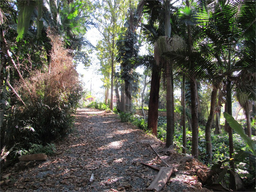 Imagem 4 de 21 de Terreno Dentro Da Chácara Flora - Reo507663