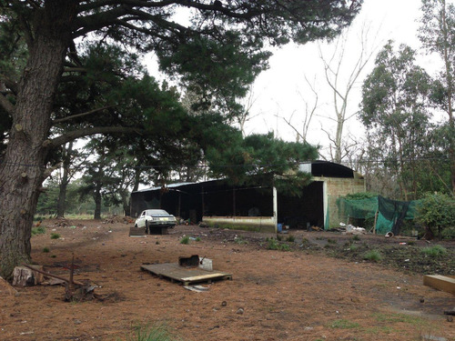 Imagen 7 de 13 de Fraccion De Campo En Venta Mar Del Plata