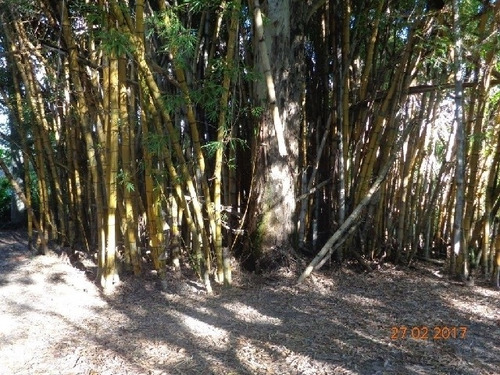 Imagem 14 de 16 de Venda - Sítio Caguassu / Sorocaba/sp - 5014