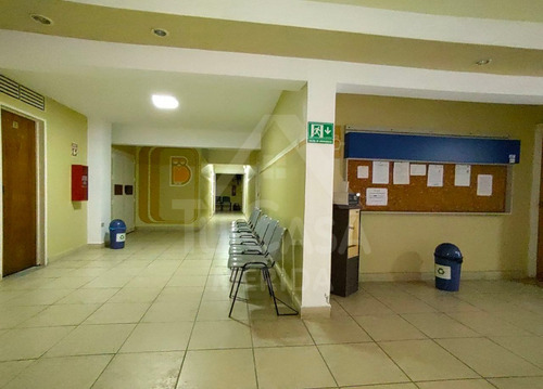 Consultorio Centro Profesional El Búho