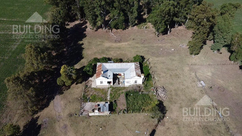 Campo En Venta - 58 Hectáreas- Saladillo