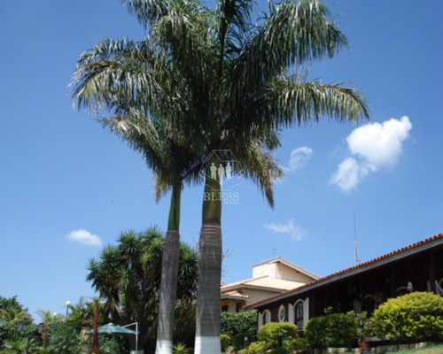 Chacara - Ch00050 - 4681255