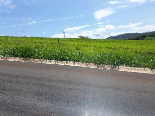 Imagem 7 de 11 de Terreno À Venda, 1000 M² Por R$ 120.000,00 - Jardim Nova Tuiuti - Tuiuti/sp - Te4805