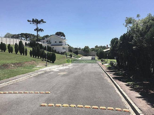 Imagem 4 de 10 de Terreno À Venda, 1210 M² Por R$ 887.800,00 - Butiatuvinha - Curitiba/pr - Te0658