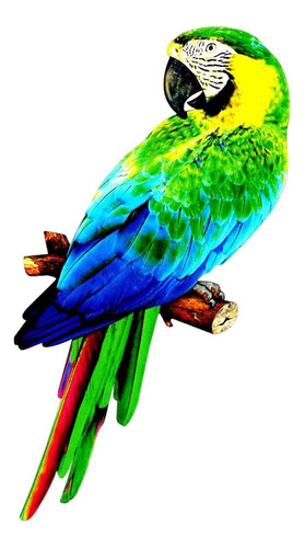 De Loros Artificiales, Modelo De Pá, , Loro, Guacamayo Para