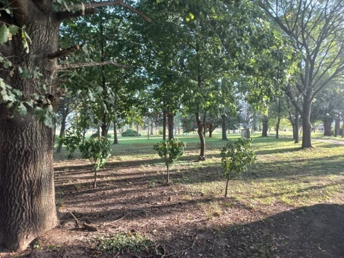 Imagen 22 de 29 de Venta, De Importante Fracciòn De 4 Has, Sobre Ruta Provincial 36.