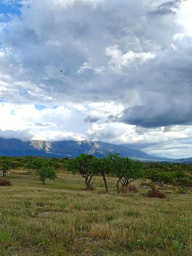 Terreno En Arroyo De Los Patos Con Vista Al Valle (t40)