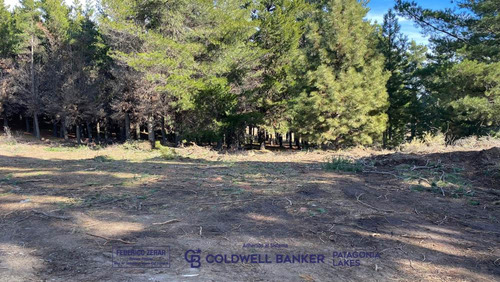 Venta Lote/terreno 275,70m2 - Dina Huapi Rio Negro- Bariloche