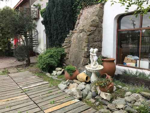 Imagen 11 de 30 de Local Con Vivienda - Venta- Nuevo Valor De Venta