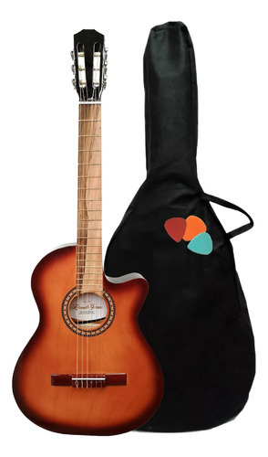 Guitarra Electrocriolla Origen Nacional Con Funda Y Puas