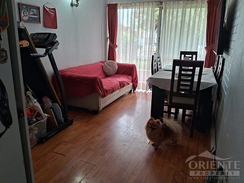 Ñuñoa Primer Piso Para Remodelar