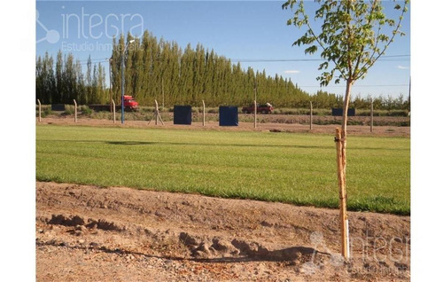 Imagen 4 de 9 de Terreno - General Roca