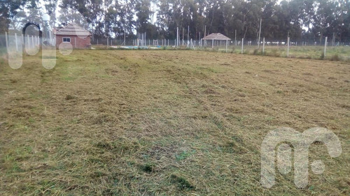 Imagen 16 de 18 de Terreno - Arana