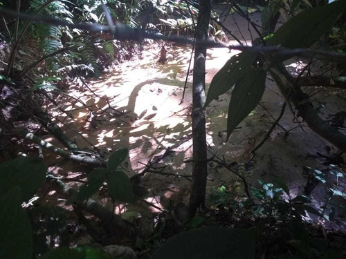 Imagem 14 de 14 de 2.500 M², Casa Com 02 Dormitórios, Salão De Festa E Piscina!
