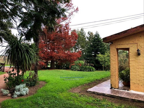 Venta De Granja En Melilla Con Cuatro Casas.
