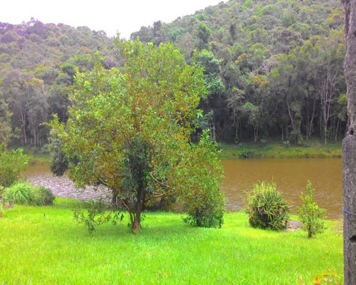 Imagem 3 de 30 de Sítio 12 Alqueires - 0137 - 32820307