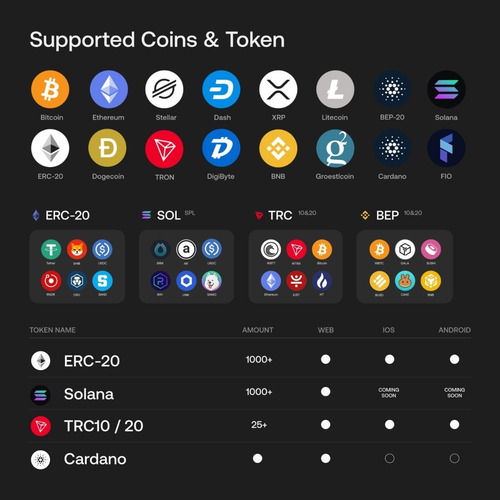 Crypto Wallet -secux W20 - Bitcoin -trc20 -bep20 Bluetooth