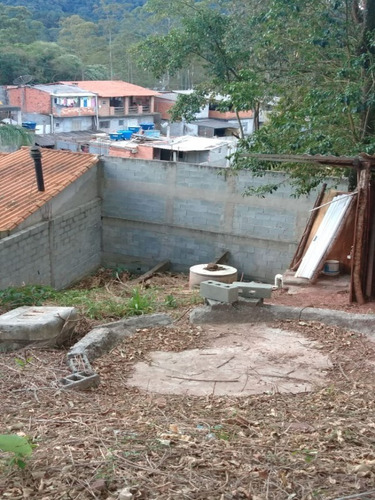 Imagem 6 de 7 de Terreno - Te00011 - 69539353
