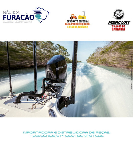 Motor De Popa Mercury 4 Tempos 300hp Xl V8 Mecânico Preto