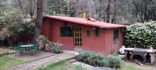 Imagen 7 de 19 de Departamento Tipo Cabaña En Medio Del Bosque Cerca De Santa Fe Pet Friendly Zona Ecolgica San Mateo Tlaltenango