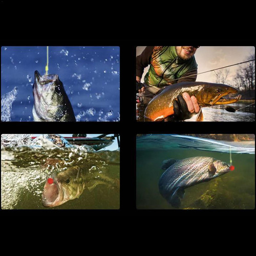 Aditivo Para Peces De Cebo Atrayente Para Cebo De Peces Cebo