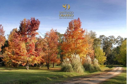 Imagen 5 de 8 de Club De Chacras Estancia Benquerencia - San Miguel Del Monte - Buenos Aires Interior