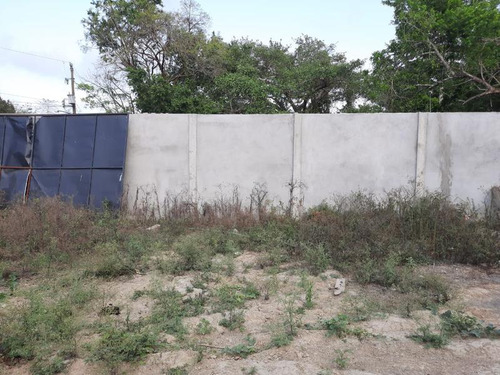 Venta Terreno 1275 M² Col. Cruz Naranjos Tuxpan Veracruz