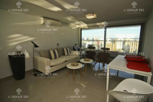 Vivir En Punta Del Este Con Su Mayor Confort