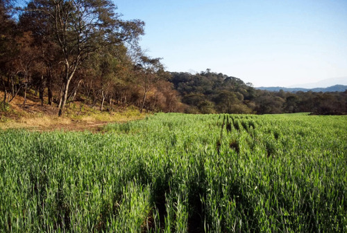 Venta Campo Río Piedras
