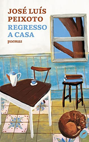 Libro Regresso A Casa De José Luís Peixoto Dublinense