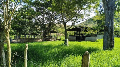 Imagen 14 de 15 de Tibisay Rojas Vende Finca A Pie De Carretera En Aguirre Cerca De Polar.cód.: 165595. Telf. 0414-4173701.