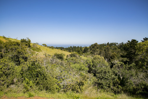 Reserva Natural En Punta De Lobos