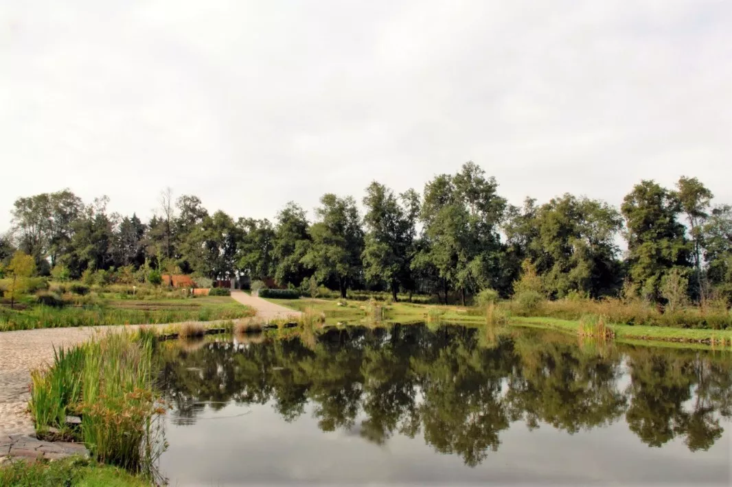 Terrenos En Desarrollo Para Ranchos, El Jacal, Valle De Bravo.